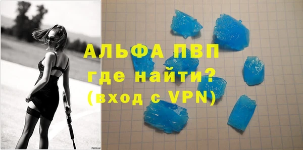 стаф Балахна