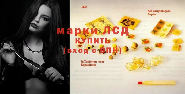 стаф Балахна