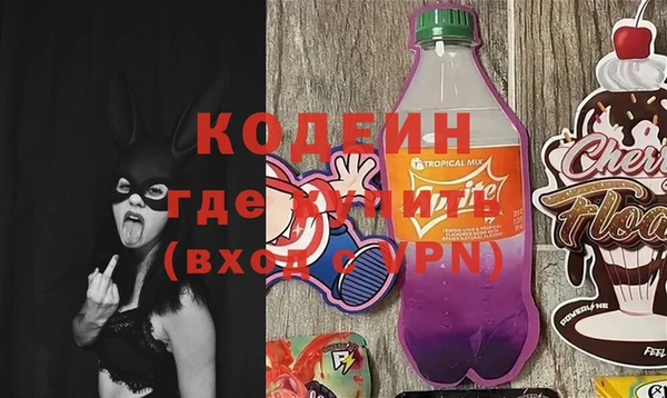 стаф Балахна