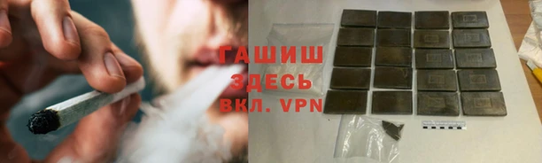 стаф Балахна