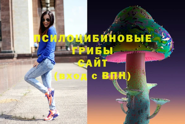 стаф Балахна